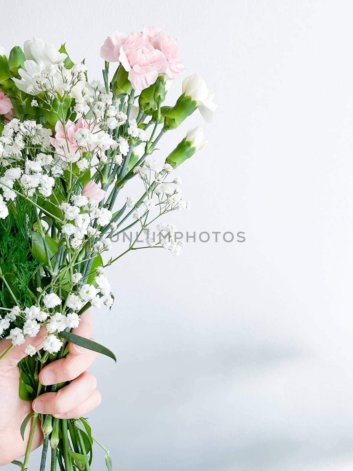 Close up photo of a bouquet of pink carnations isolated on a white background. Dew drops on flowers