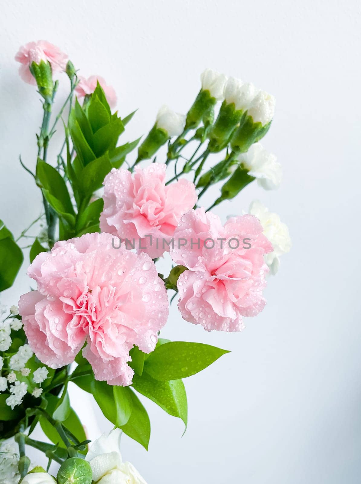 Close up photo of a bouquet of pink carnations by Lunnica