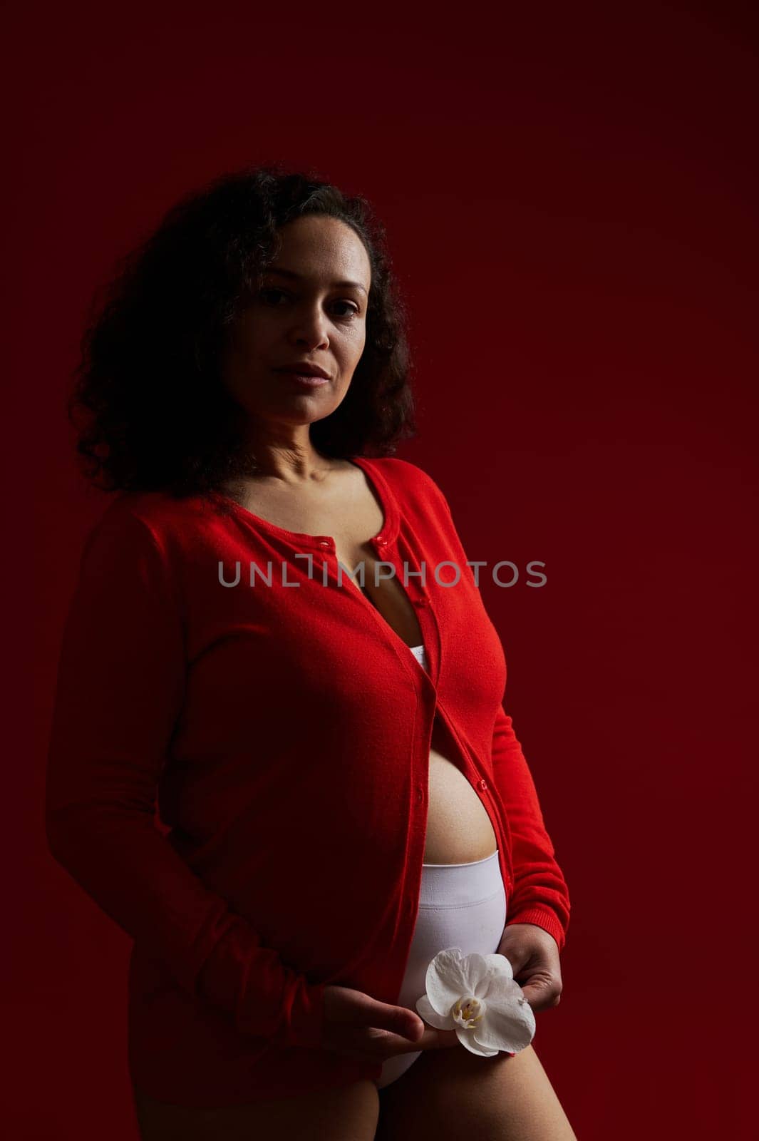 Confident portrait of ethnic pregnant woman, authentic expectant mother wearing red unbuttoned shirt, holding white orchid flower, looking at camera, posing bare belly on dark red isolated background