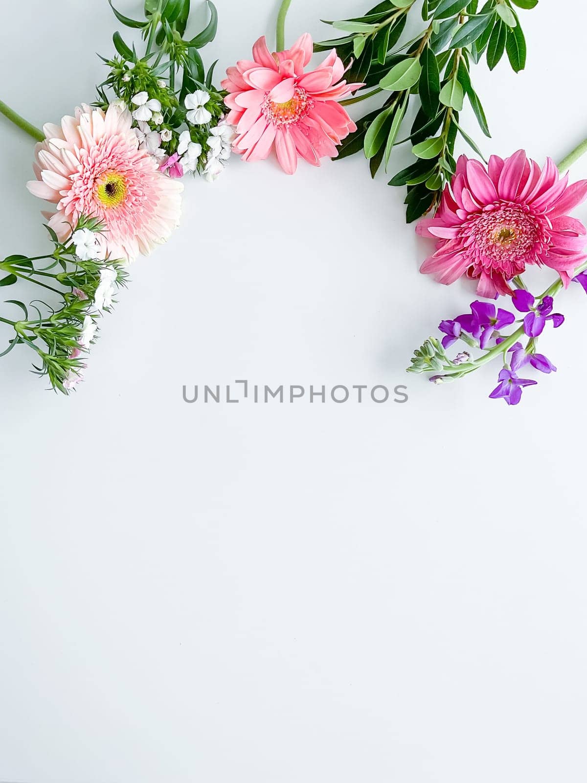 japanese dianthus, gerbera, matthiola and laurel leaves. floral frame with empty space for text or inscription. spring postcard