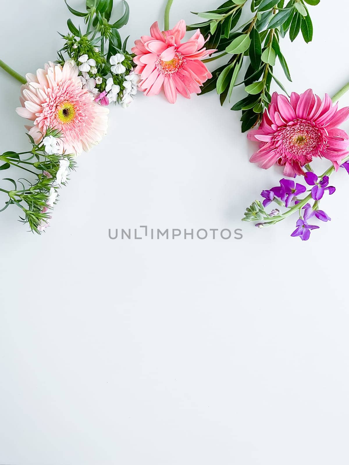 japanese dianthus, gerbera, matthiola and laurel leaves. floral frame with empty space for text or inscription. spring postcard