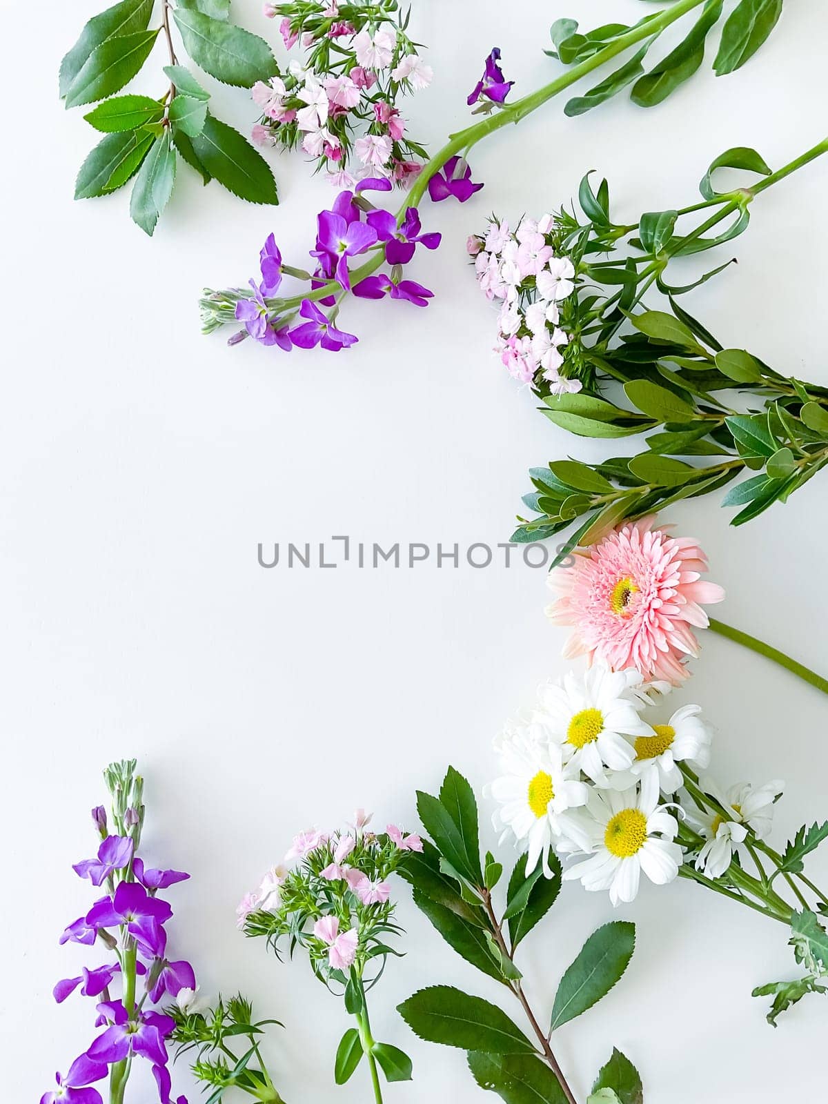 japanese dianthus, gerbera, chamomile and laurel leaves. floral frame with empty space for text or inscription. spring postcard