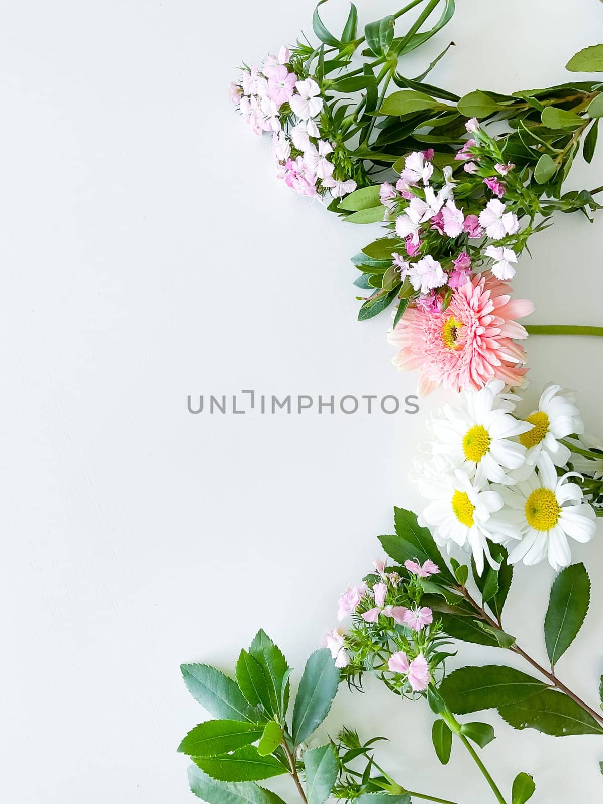 japanese dianthus, gerbera, chamomile and laurel by Lunnica