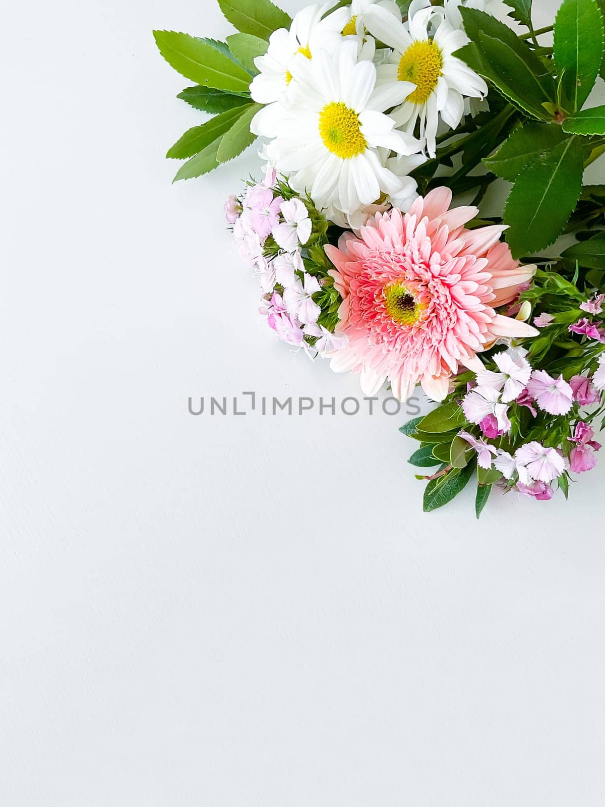 japanese dianthus, gerbera, chamomile and laurel by Lunnica