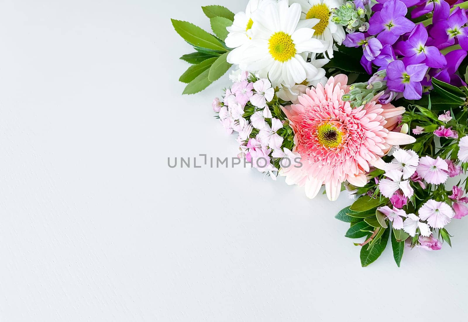 japanese dianthus, gerbera, chamomile, matthiola and laurel leaves. floral frame with empty space for text or inscription. spring postcard