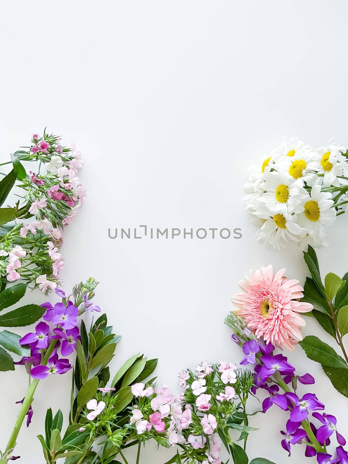 japanese dianthus, gerbera, chamomile, matthiola and laurel leaves. floral frame with empty space for text or inscription. spring postcard