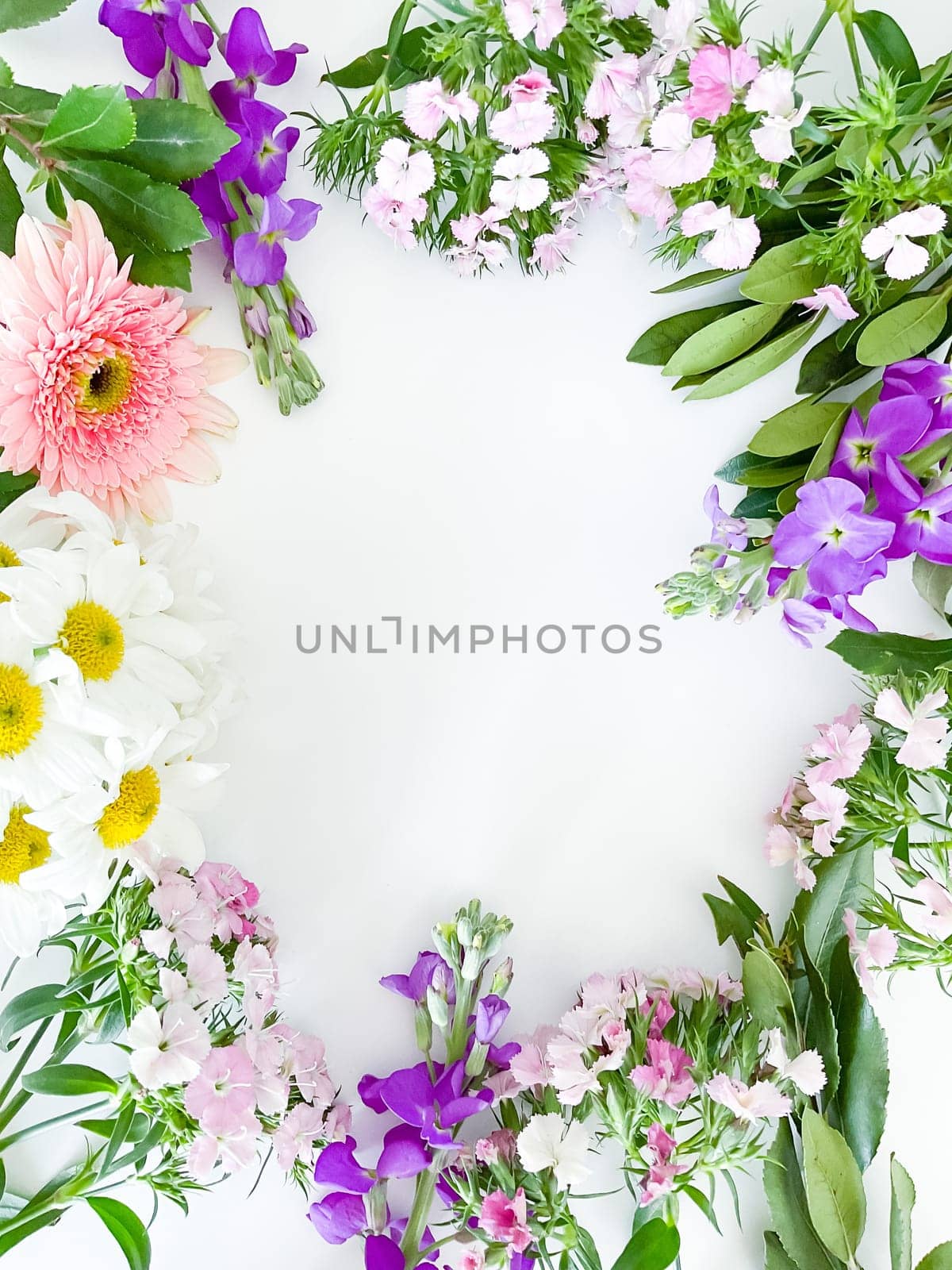 dianthus, gerbera, chamomile, laurel. floral frame by Lunnica