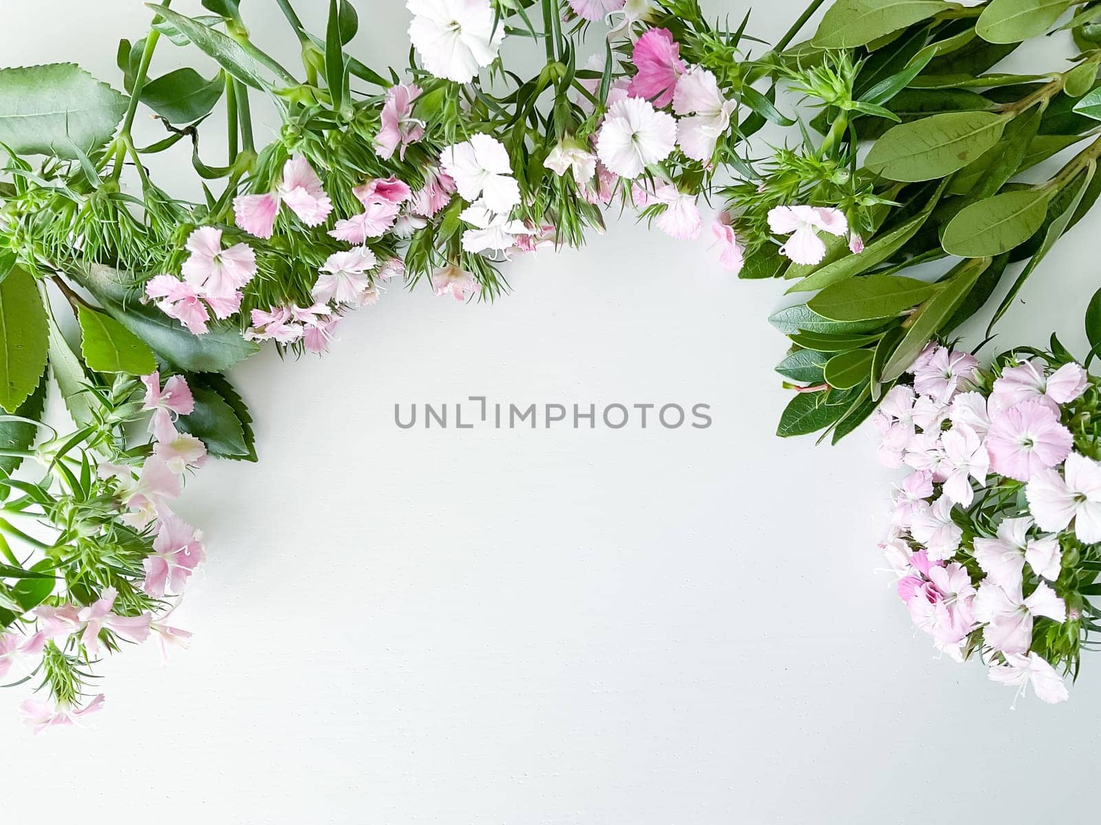 dianthus japonica and laurel leaves. floral frame with empty space for text or inscription. spring postcard