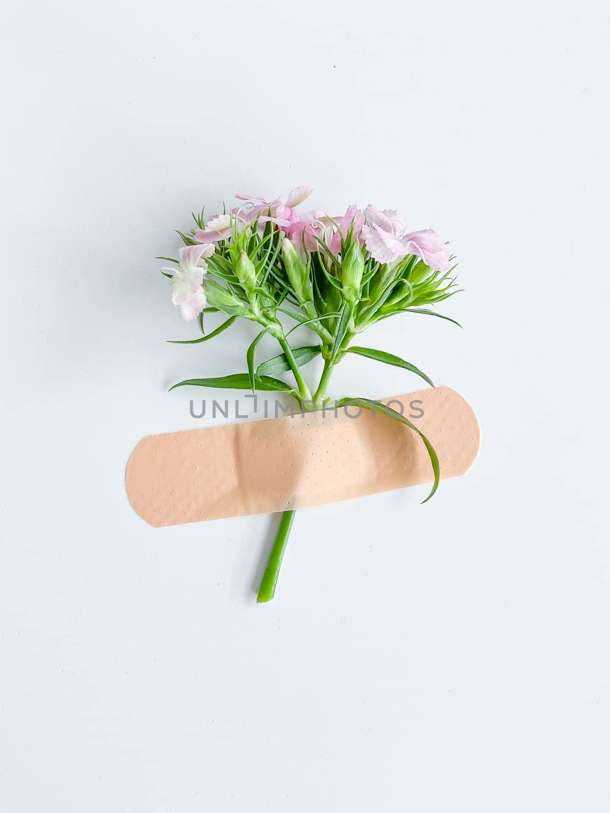 Pink flower with plaster. Conceptual image of treatment, illness, healing