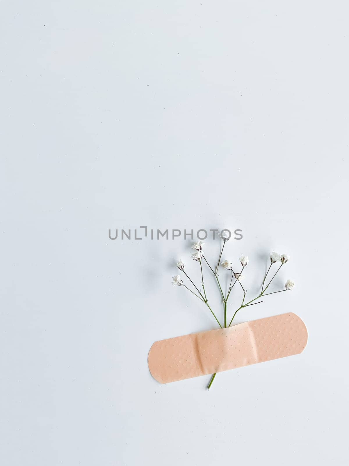 adhesive plaster on the white wall background holding dry field flower,concept,remember me,patch