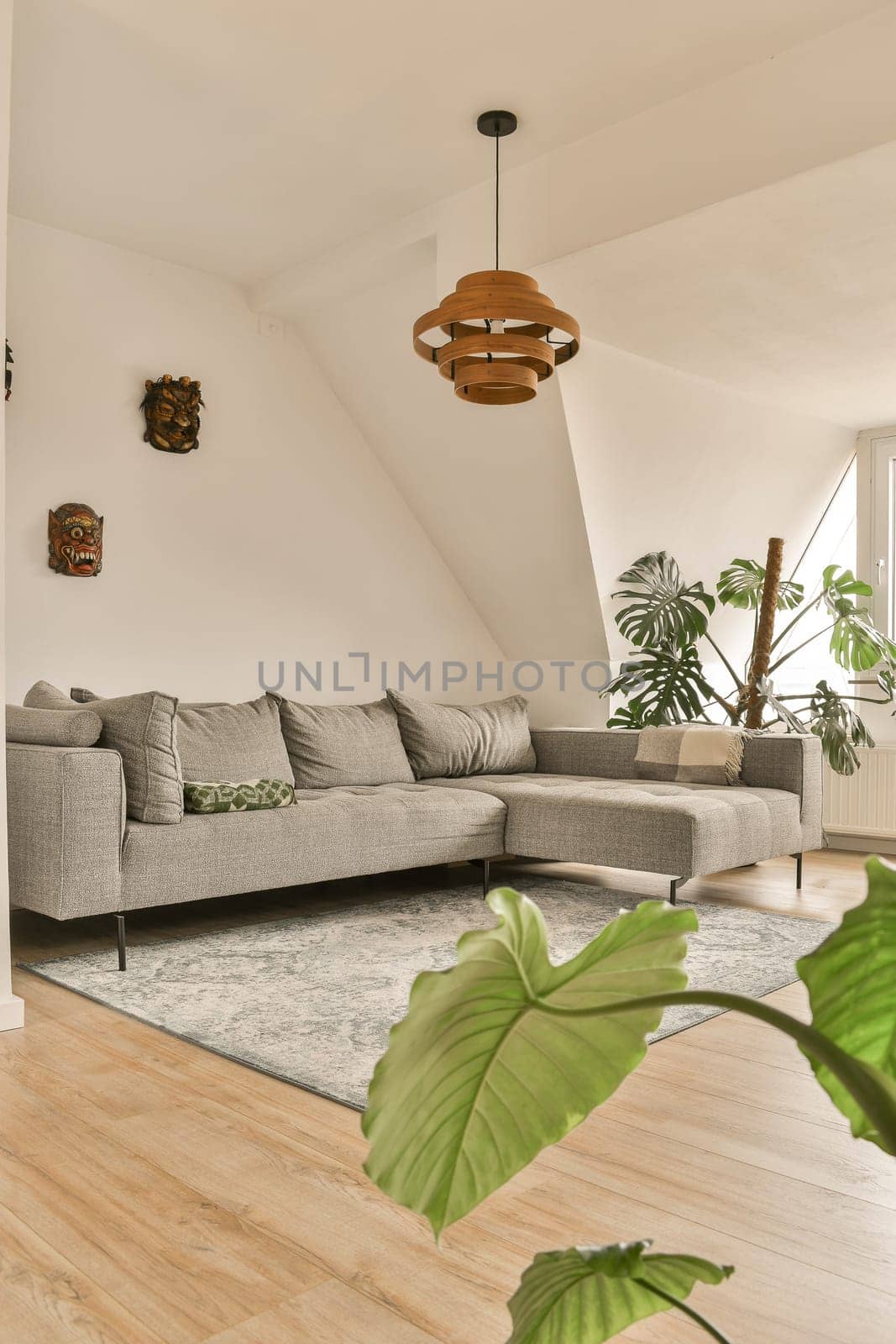 a living room with wood flooring and white walls there is a large plant in the center of the room