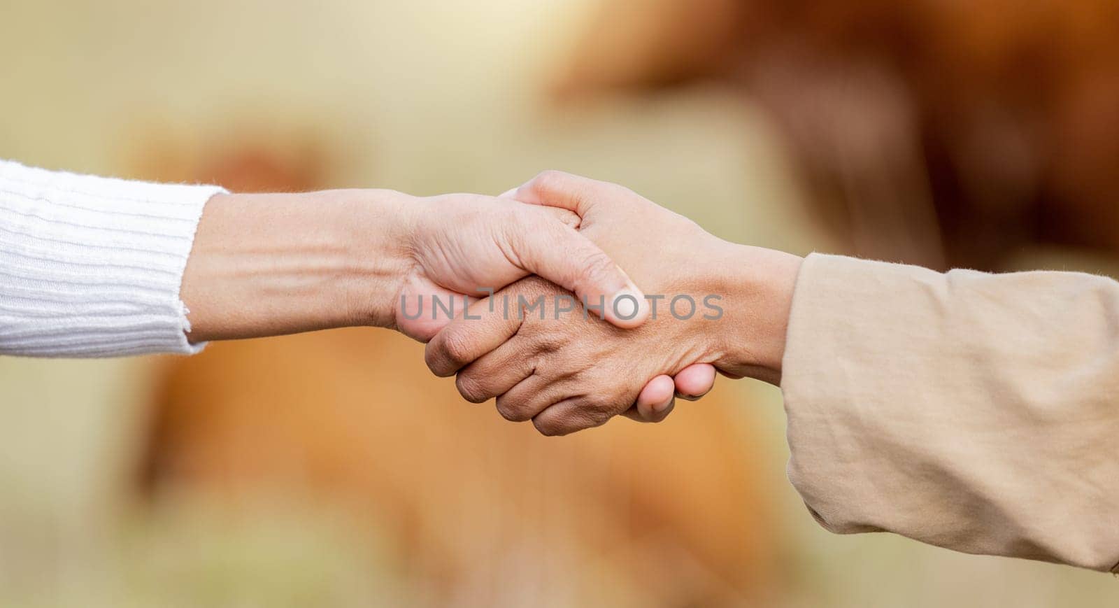 Farmer, handshake or b2b partnership deal for sustainability, agriculture or meat production on grass field. Success, shaking hands or people meeting in collaboration on cattle farming small business by YuriArcurs