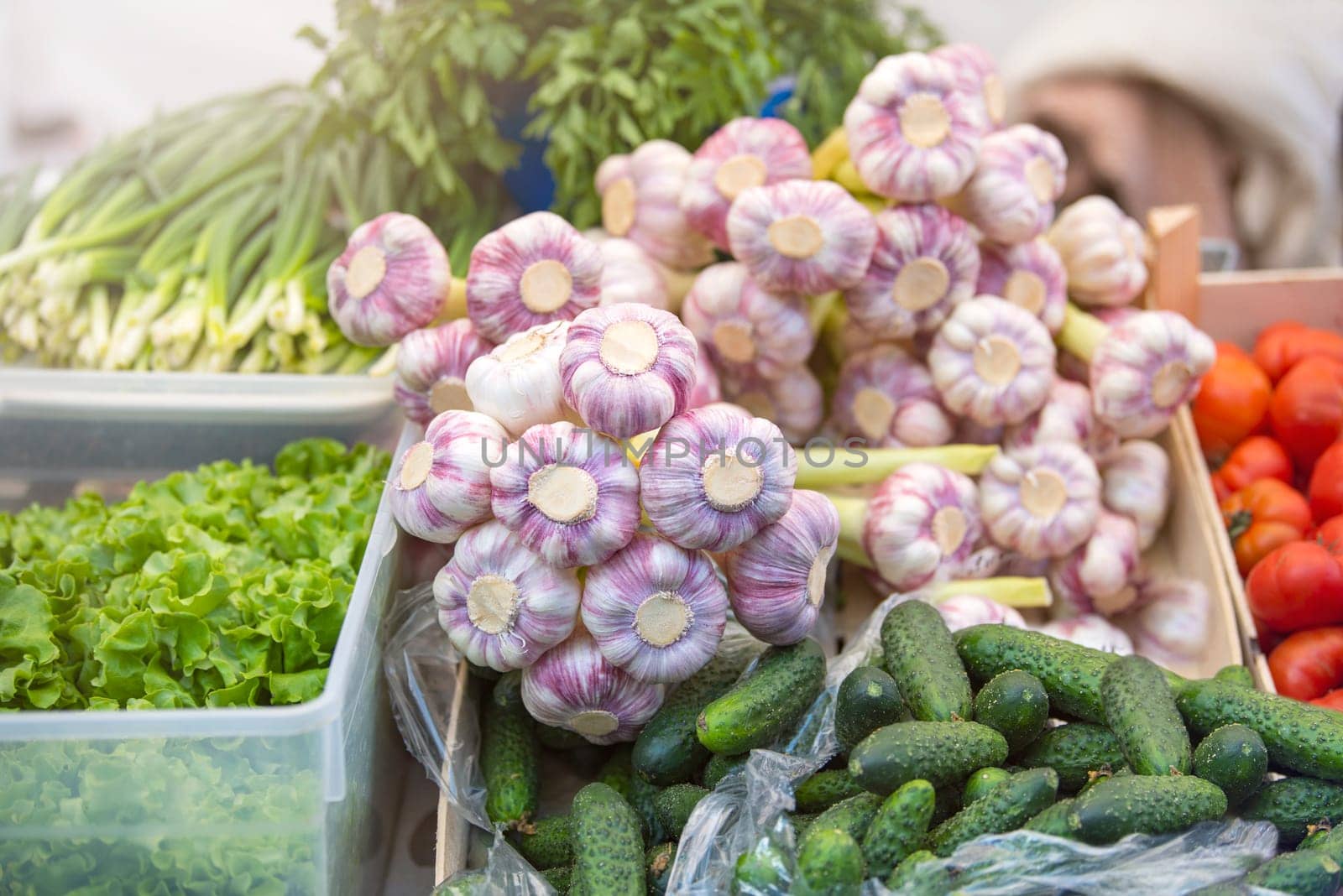 Fresh vegetables on the market. Garlic lies next to other vegetables. Growing season for vegetables sold in the market. Small business. by SERSOL