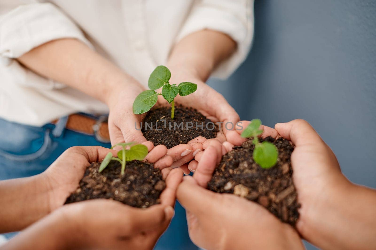 Growth requires lots of care and commitment. an unrecognizable group of businesswomen holding a plant growing out of soil inside an office