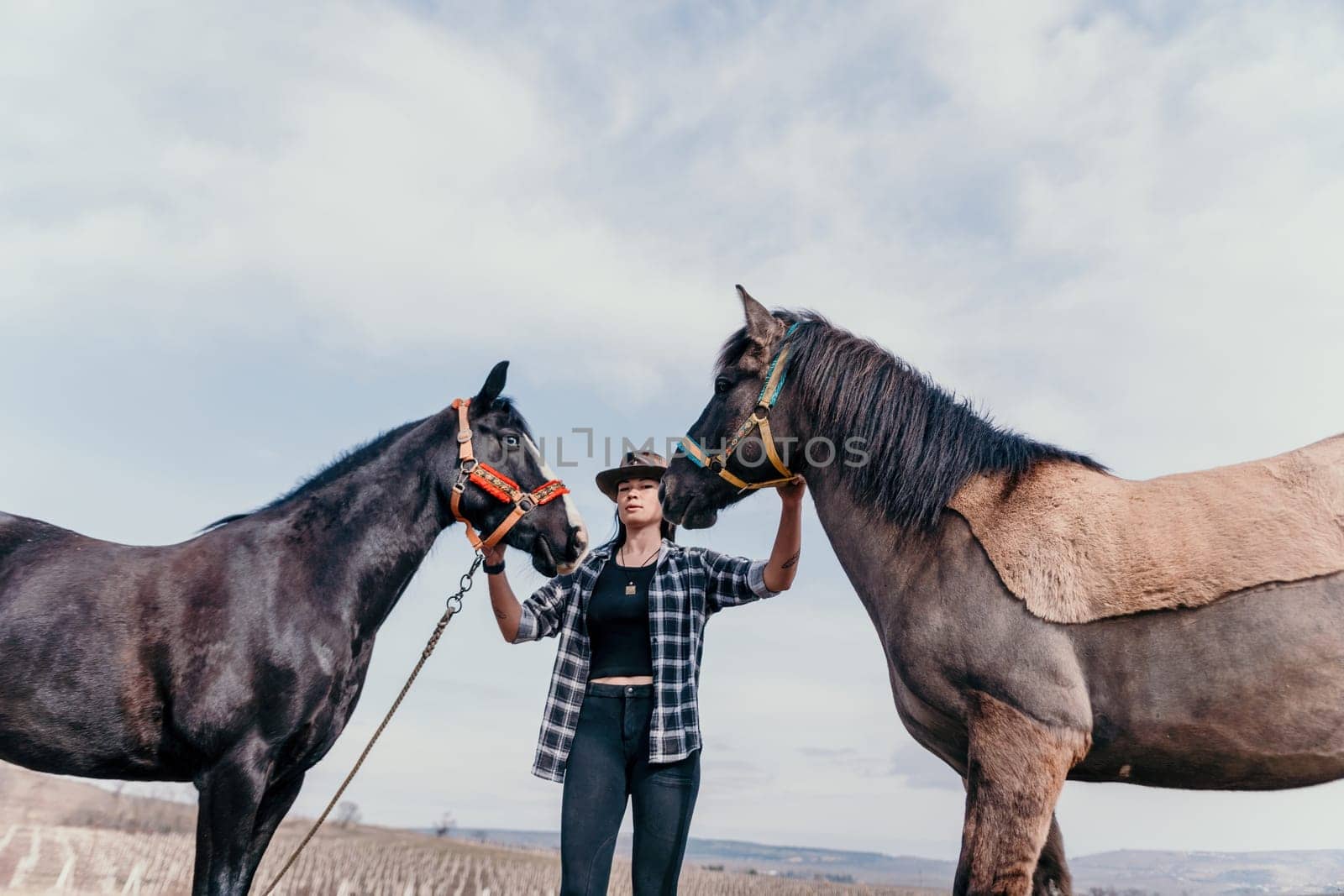 Cute happy young woman with horse. Rider female drives her horse in nature on evening sunset light background. Concept of outdoor riding, sports and recreation.