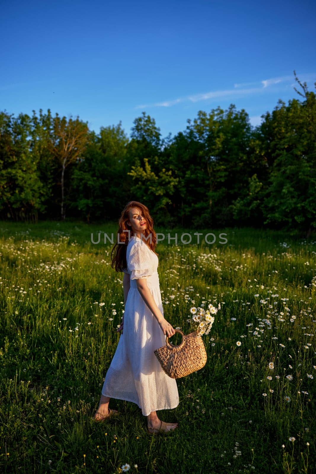 a beautiful, happy woman in a light dress stands in a chamomile field in the rays of the setting sun. High quality photo