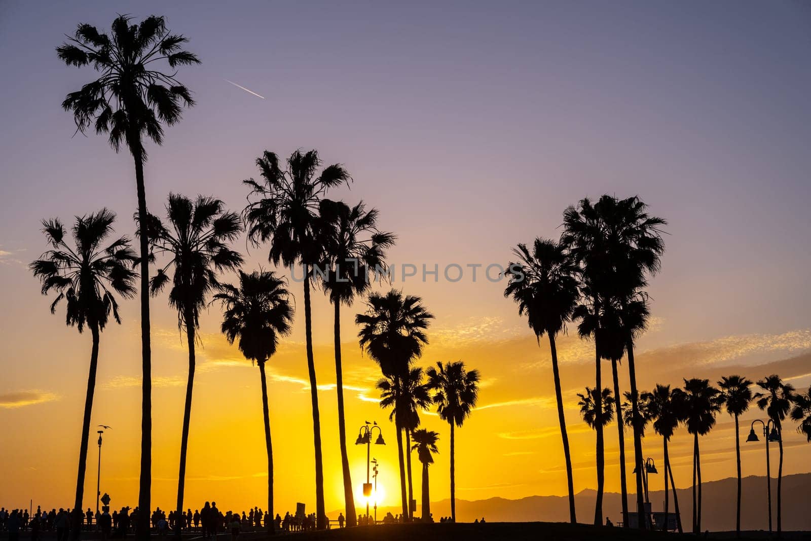 Palm trees at sunset by elxeneize