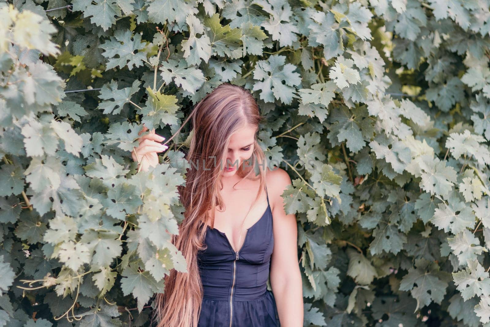 Woman travel winery. Portrait of happy woman holding glass of wine and enjoying in vineyard. Elegant young lady in hat toasting with wineglass smiling cheerfully enjoying her stay at vineyard. by panophotograph