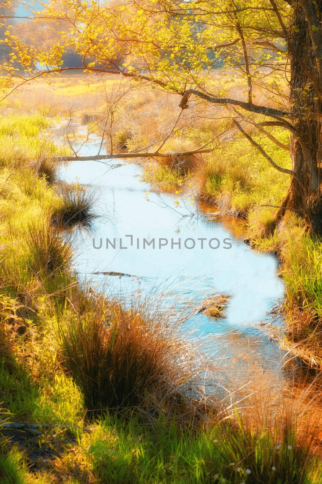 The beauty of autumn. Forest and landscape in the colors of autumn. by YuriArcurs