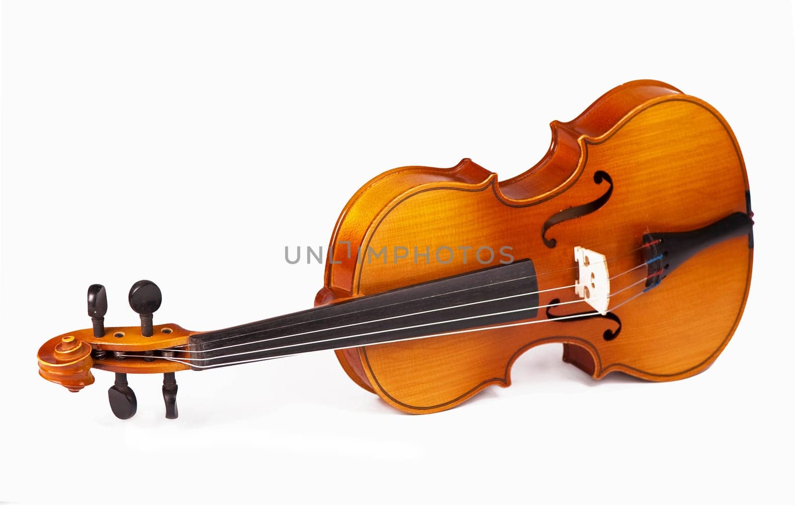 Classical violin - isolated on white background by aprilphoto
