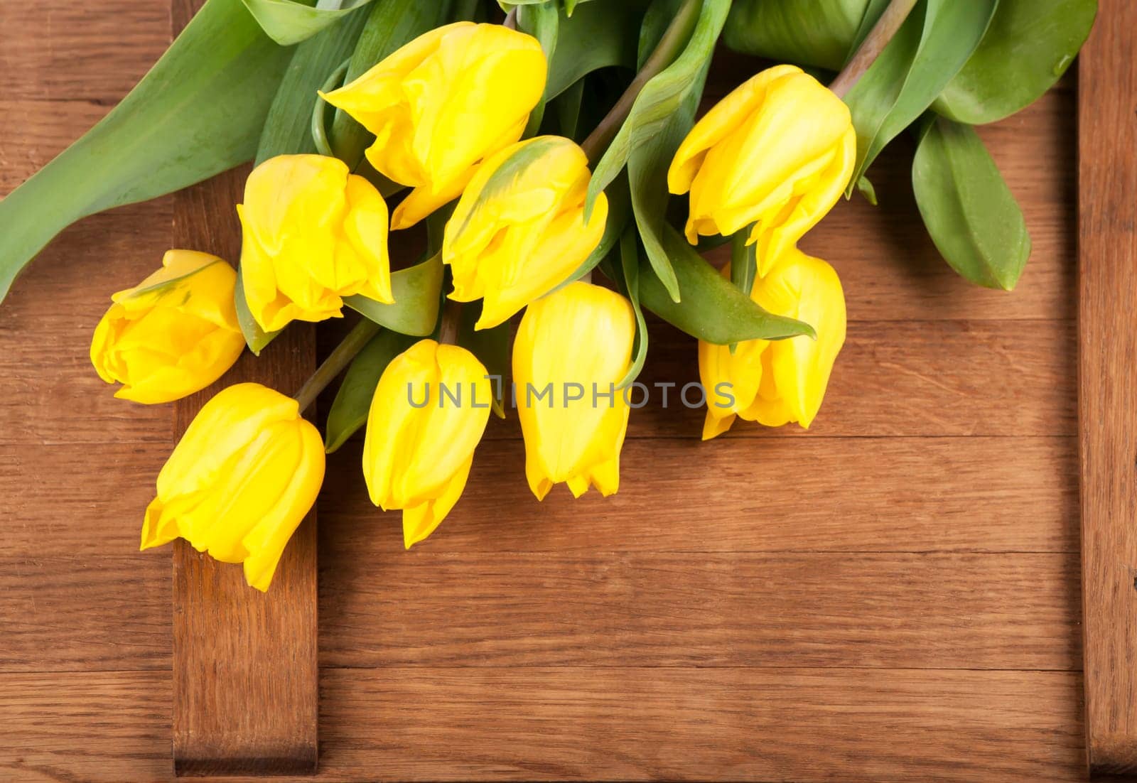 beautiful yellow tulips are located on a wooden background by aprilphoto