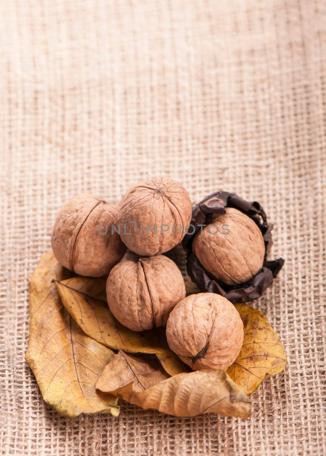 group of big walnuts with dry leaves on burlap on a wooden background.