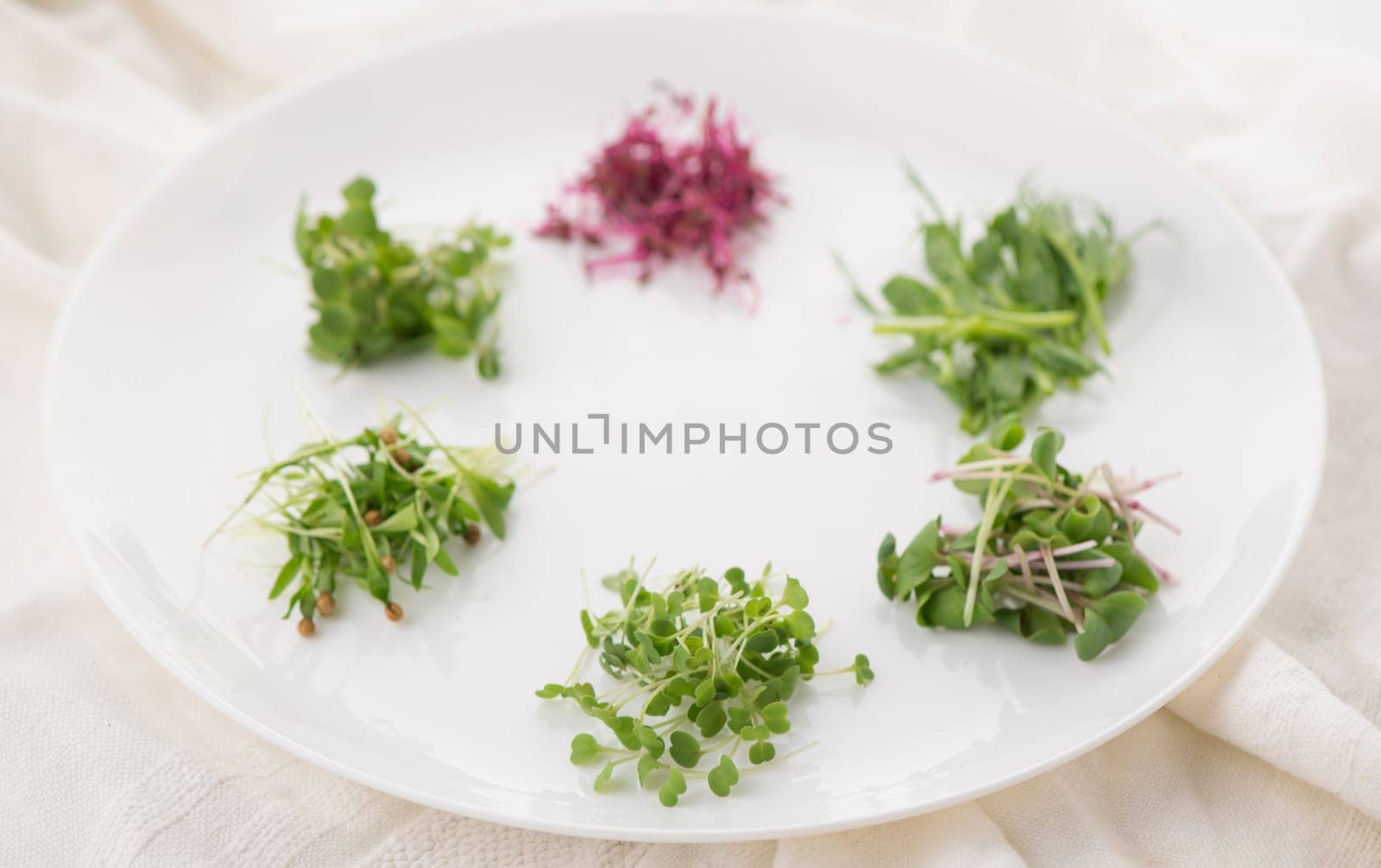 The concept of a healthy diet, the cultivation of microgreens - red amaranth, mustard, arugula, peas, cilantro on a white plate by aprilphoto