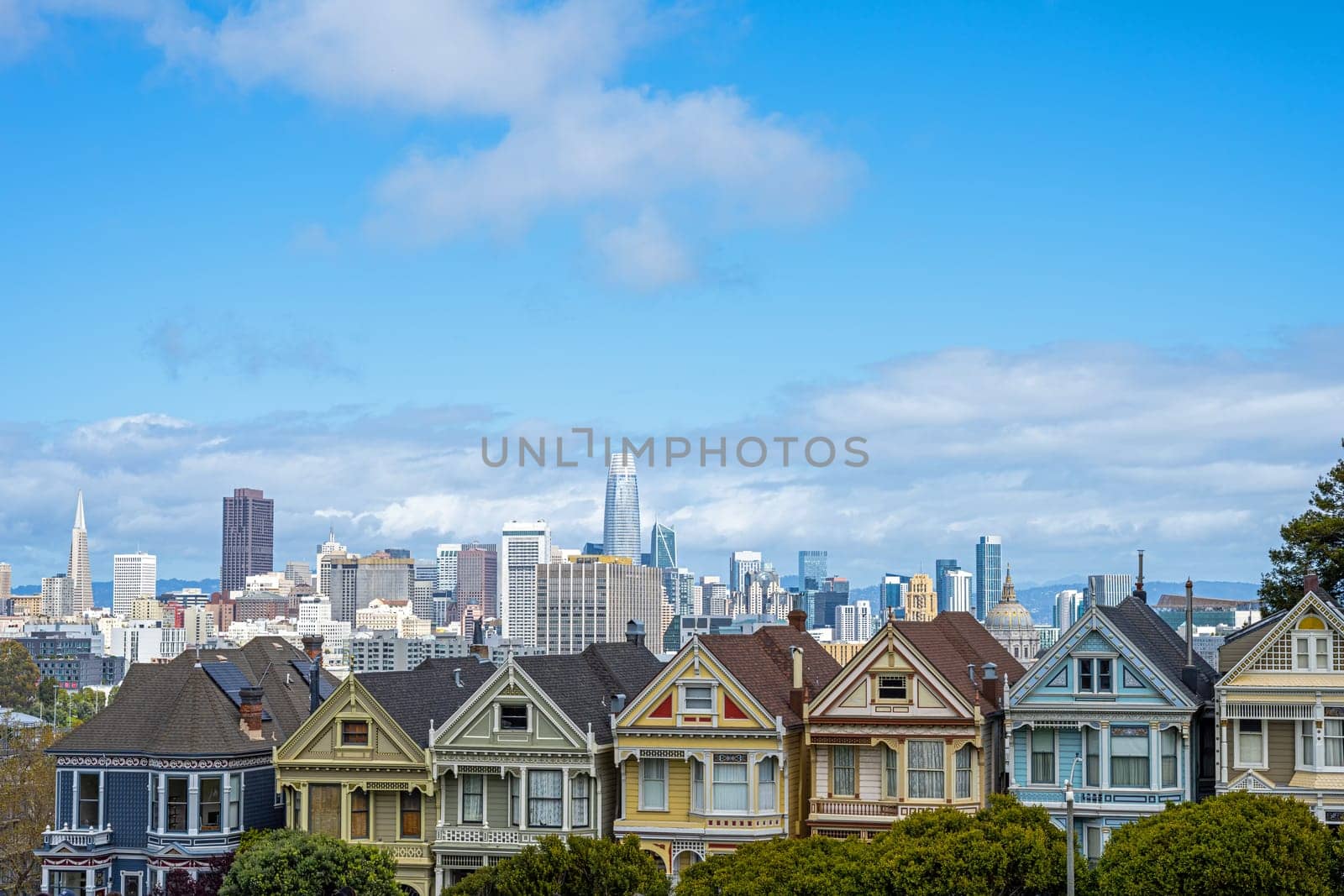 San Francisco with the famous Painted Ladies by elxeneize