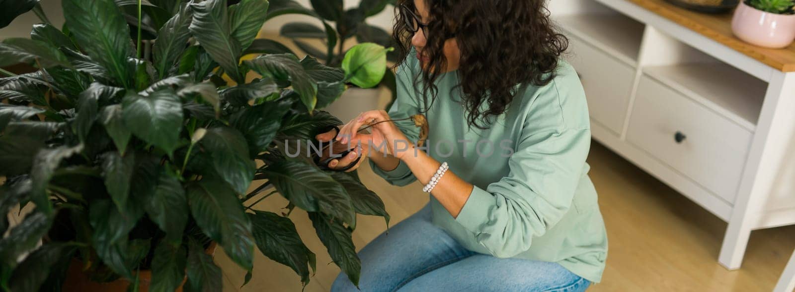 Banner woman and pot with plant happy work in indoor garden or cozy home office with different houseplants copy space. Happy millennial female gardener or florist take care of domestic flower by Satura86