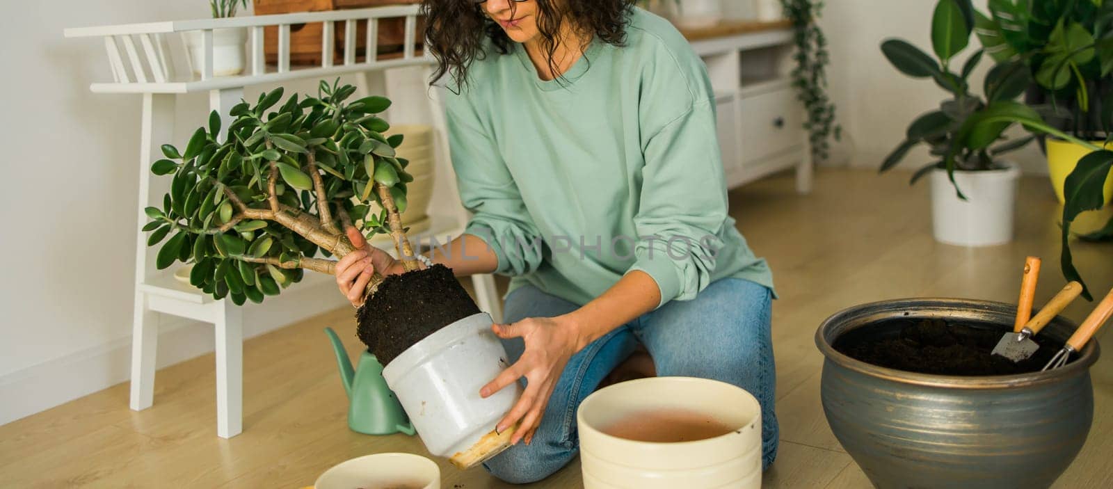 Banner woman grows potted plants at home watering and take care flowers - gardening and houseplant care concept by Satura86