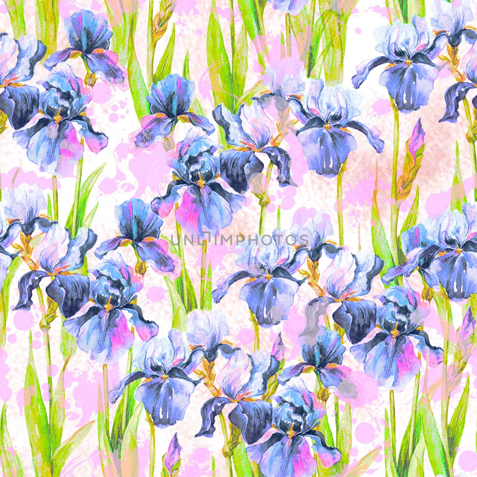 Summer meadow iris flowers watercolor seamless pattern on white background by fireFLYart