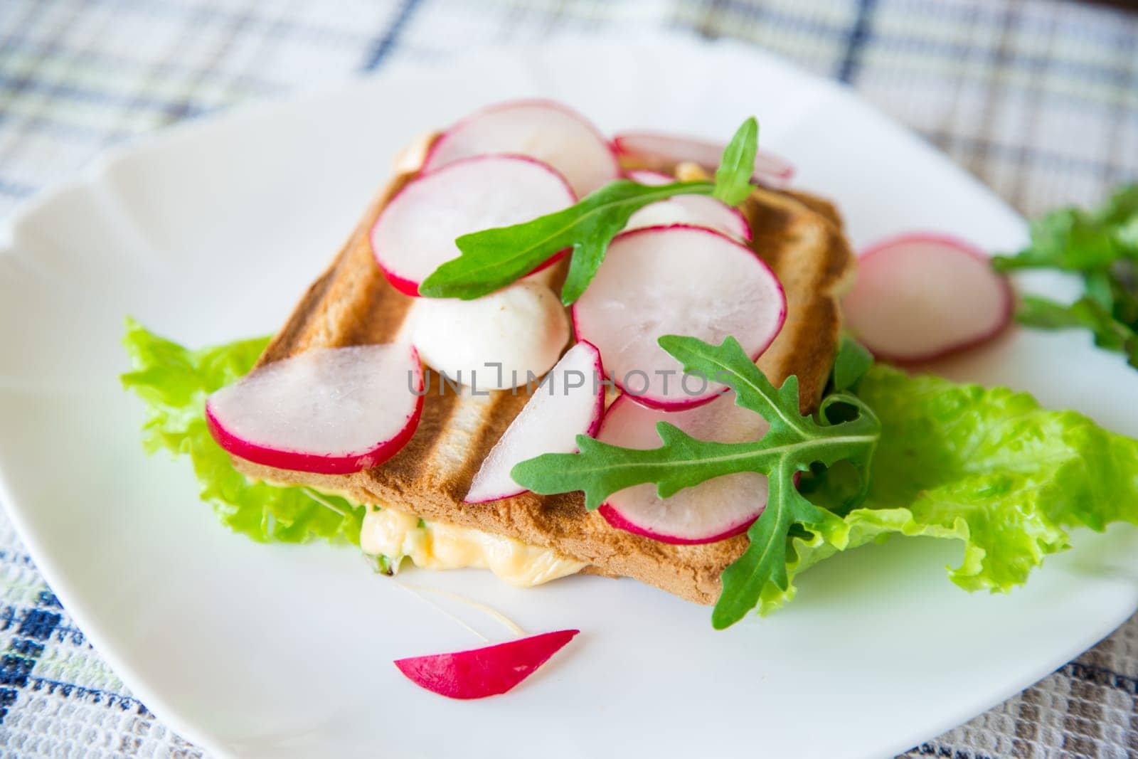 Hot sandwich of fried toast stuffed with cheese, herbs and radishes in a bowl on the table