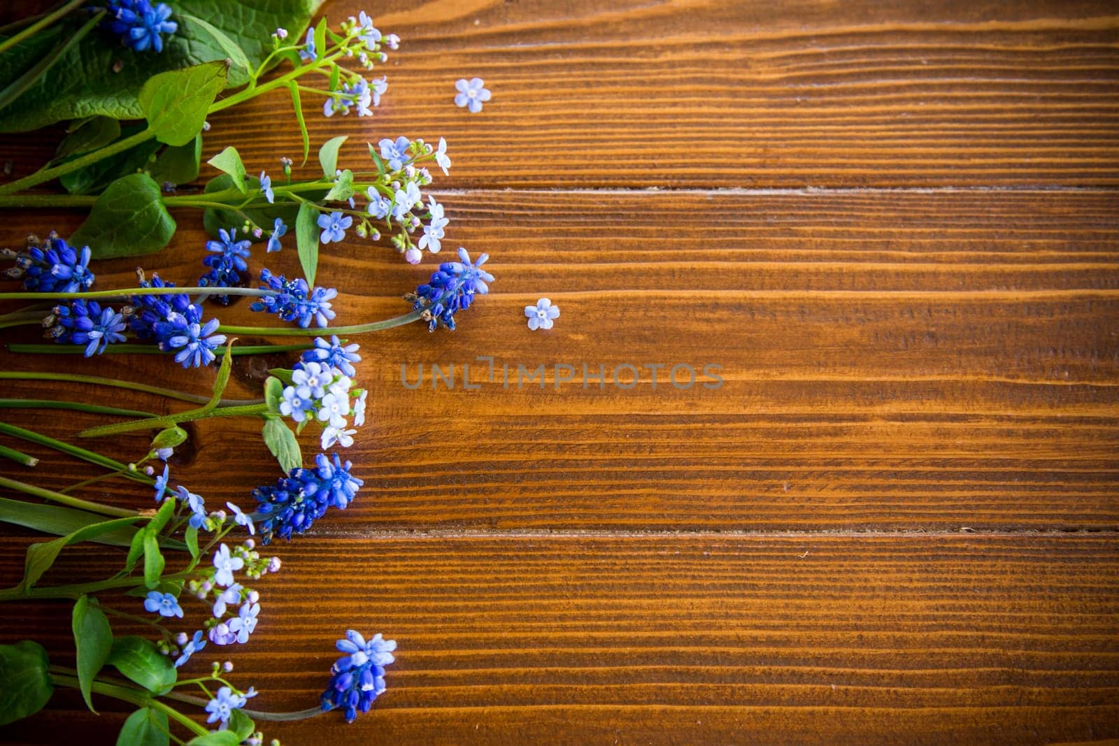 Wooden background with spring flowers and empty space for text.