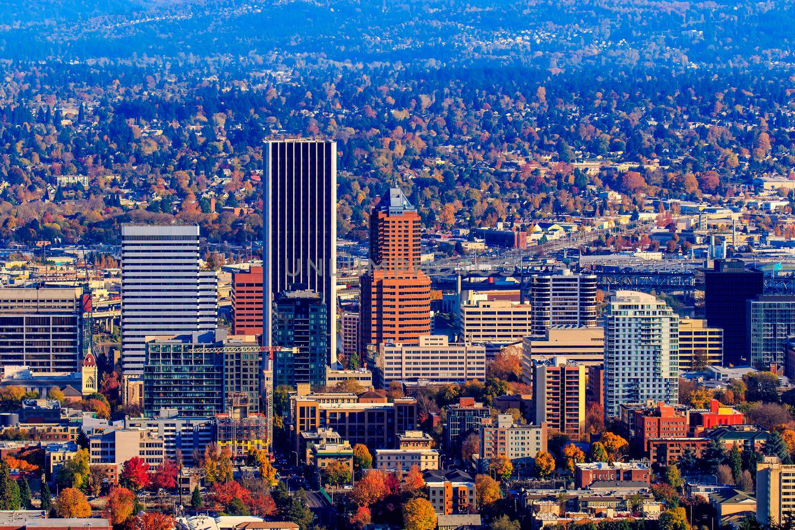 Portland Oregon Downtown Cityscape in the Fall colors.