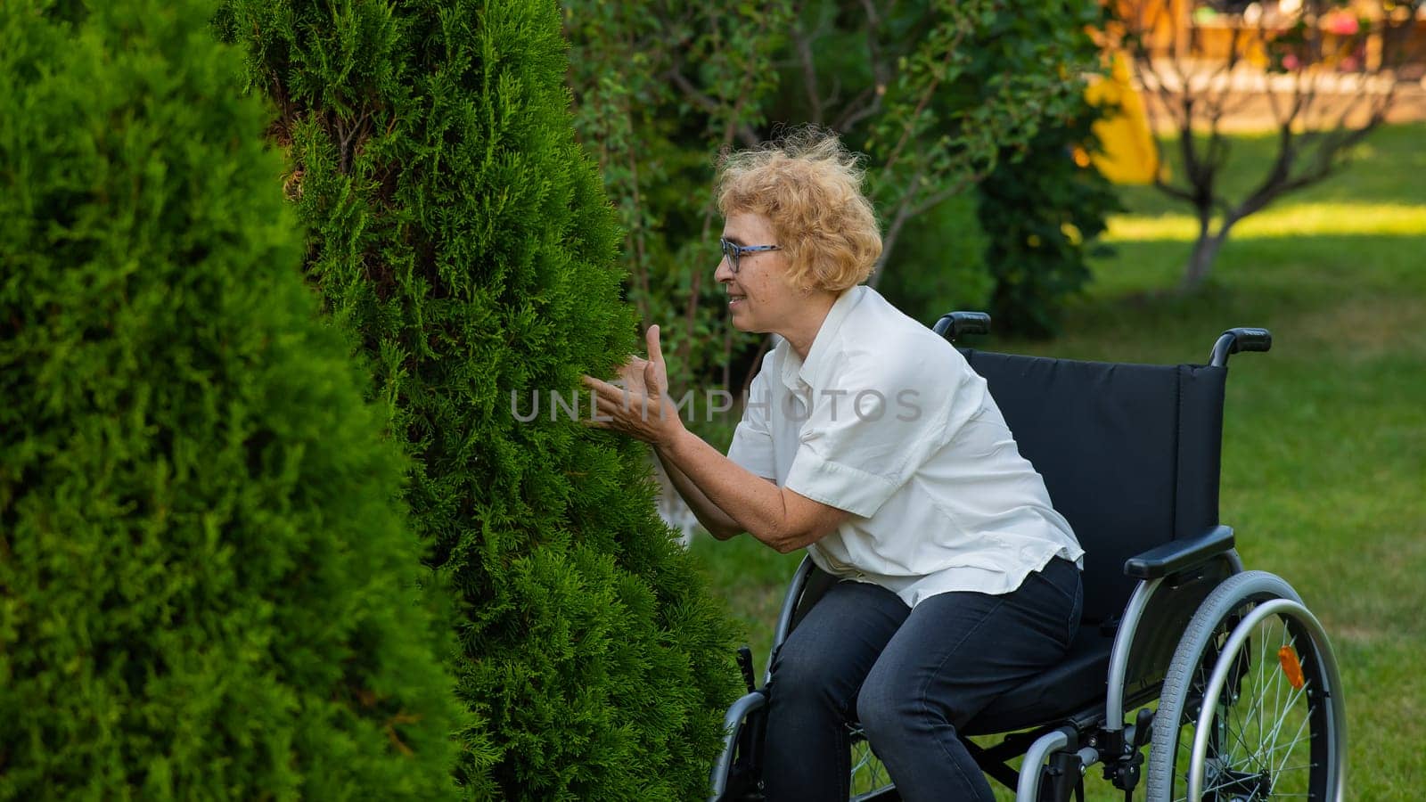 Happy elderly woman in a wheelchair rejoices in a walk outdoors