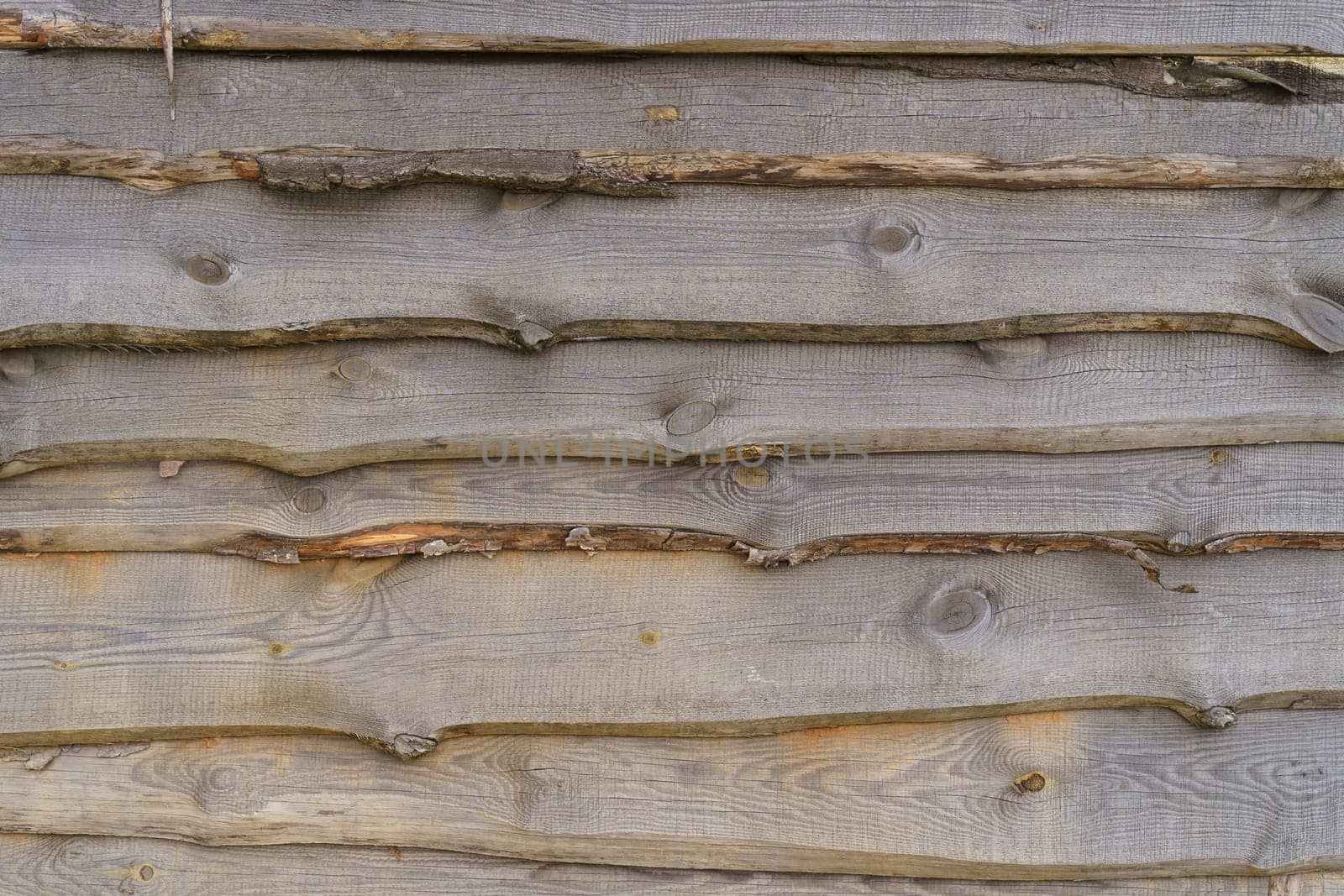 A wall of unhewn boards, built in fly-fishing. wooden background