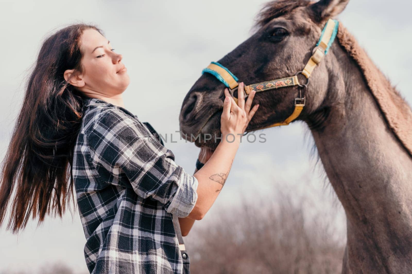 Cute happy young woman with horse. Rider female drives her horse in nature on evening sunset light background. Concept of outdoor riding, sports and recreation.