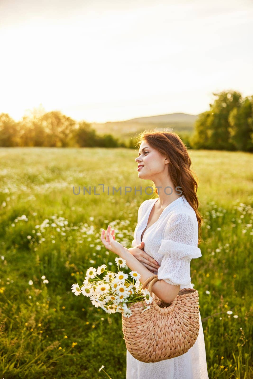 vertical portrait of a beautiful woman in a light dress with a basket full of daisies in nature. High quality photo