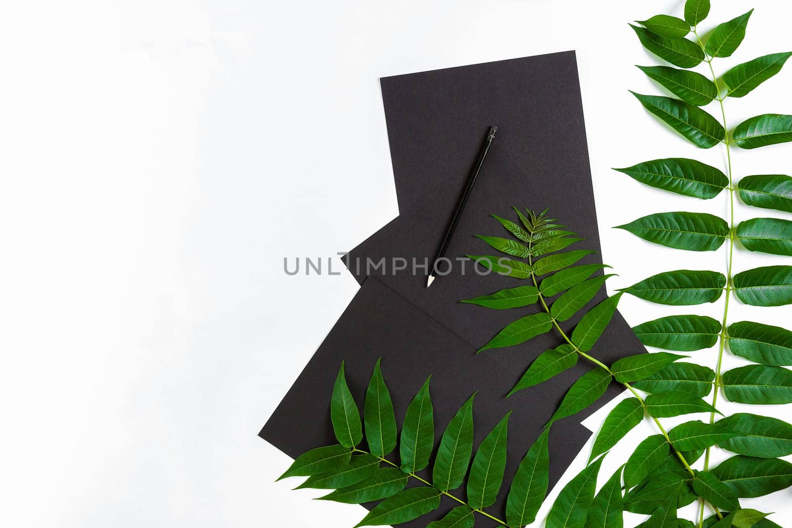 Natural composition with sketchbook and pencils on white table, decorated with green branches. Flat lay, top view, copy space. Still life