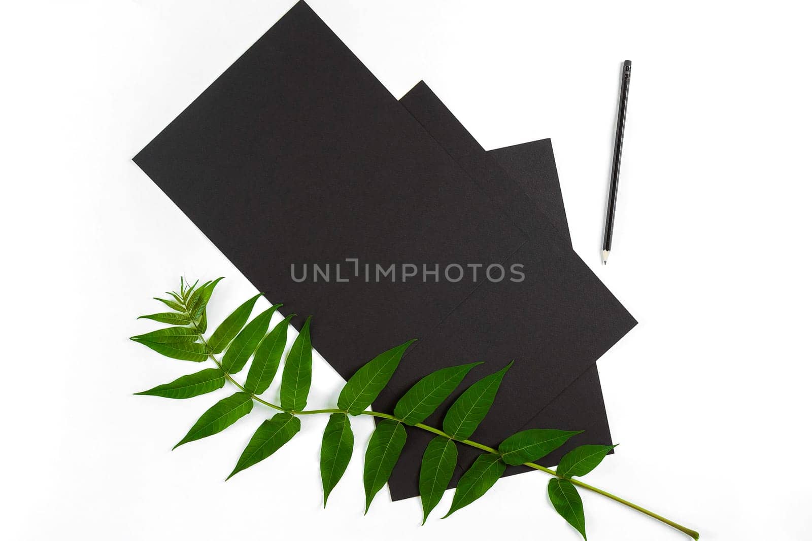 Natural composition with sketchbook and pencils on white table, decorated with green branches. Flat lay, top view, copy space. Still life
