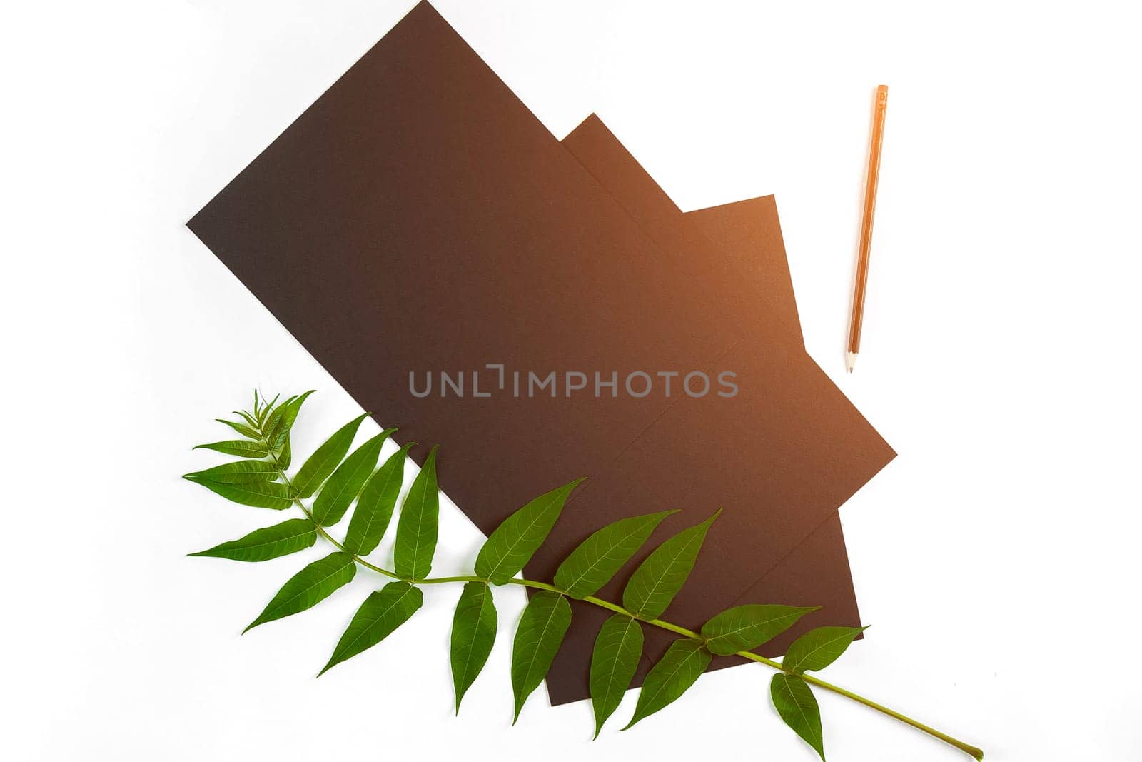 Natural composition with sketchbook and pencils on white table, decorated with green branches. Flat lay, top view, copy space. Still life. Sun flare