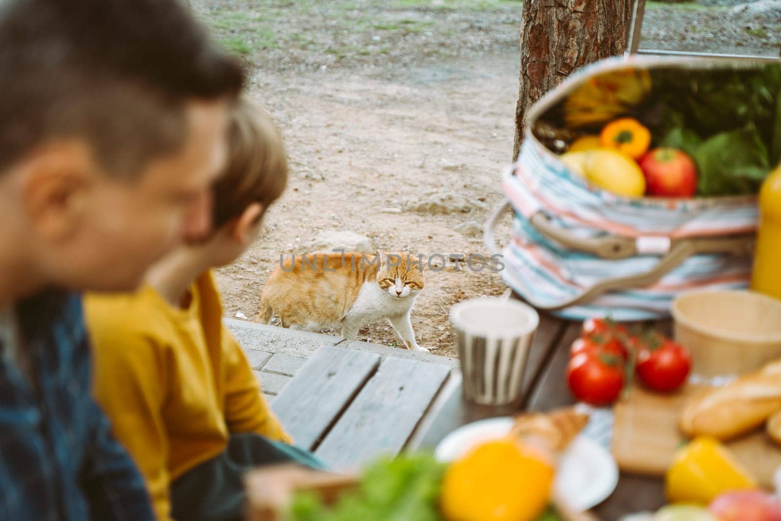 Father dad school kid boy child having a picnic with cat in the forest camping site with vegetables, juice, coffee, and croissants. Fresh organic veggies surrounded with bread baguettes. by Ostanina
