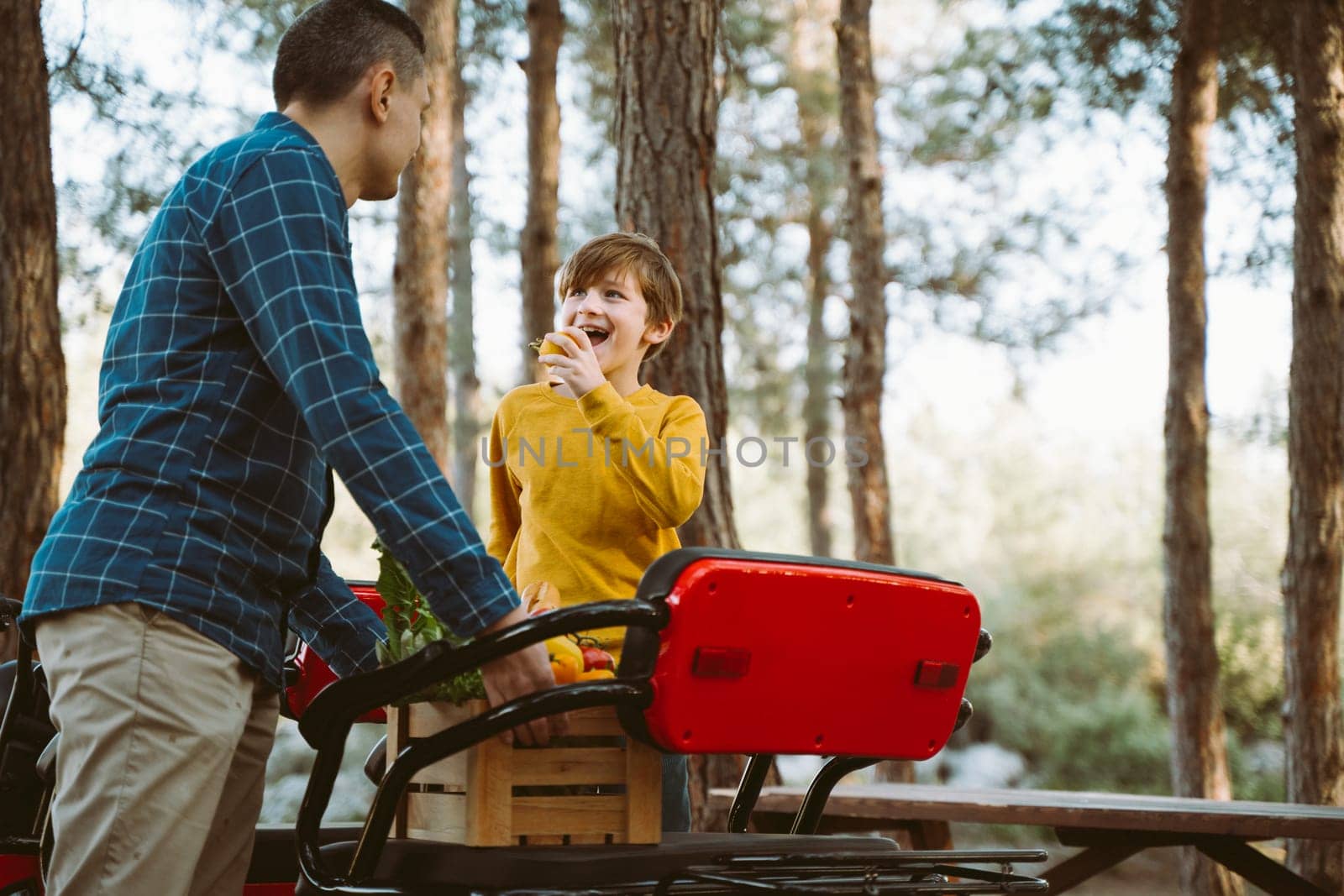 Farmer father and school boy kid delivered wooden crates with vegetables to camp site for picnic. Dad man male and son tourists unloading groceries from electric tricycle vehicle in the forrest. by Ostanina