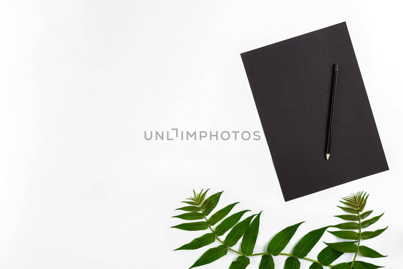 Natural composition with sketchbook and pencils on white table, decorated with green branches. Flat lay, top view, copy space. Still life