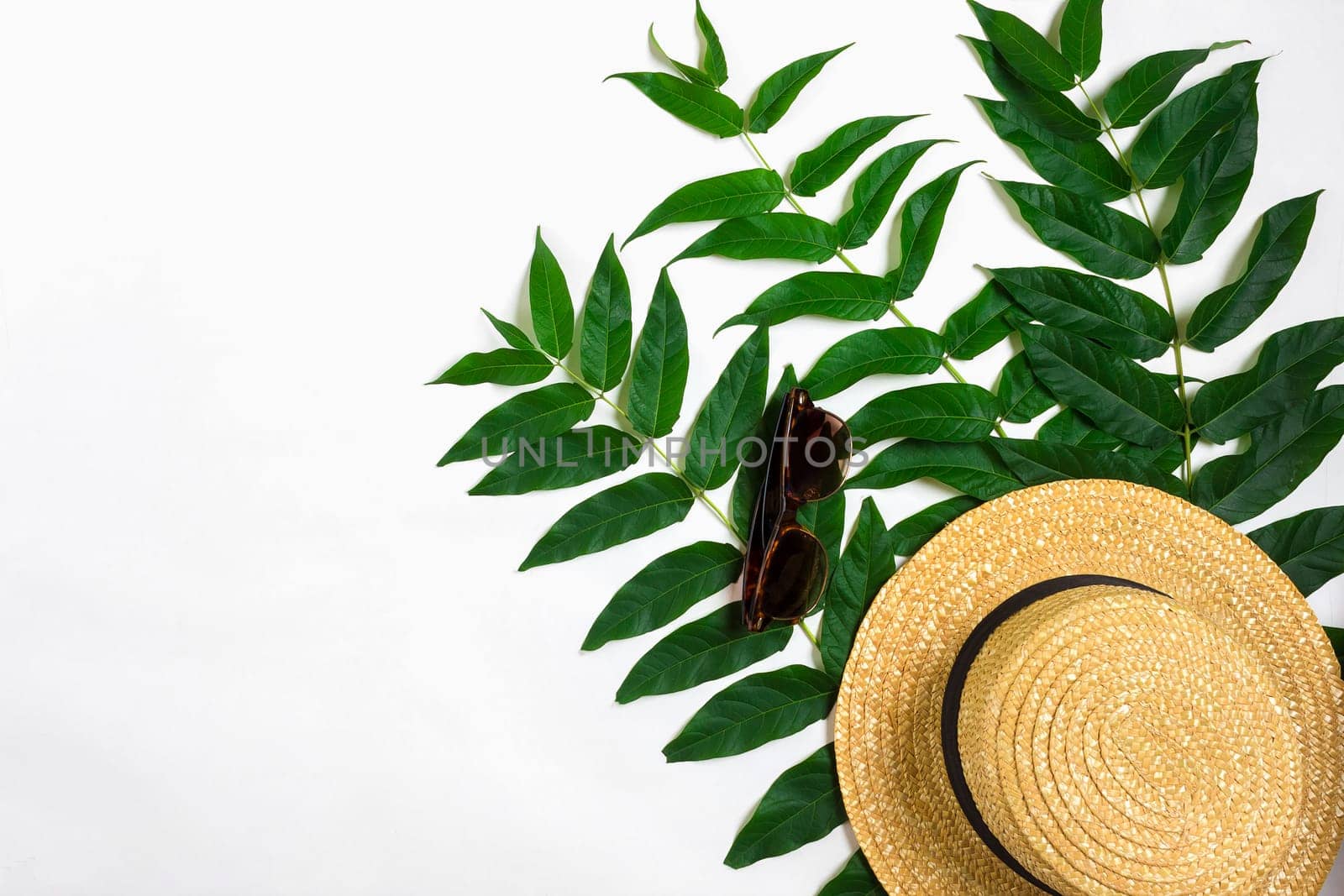 Green leaf branches and straw haton white background. flat lay, top view by nazarovsergey