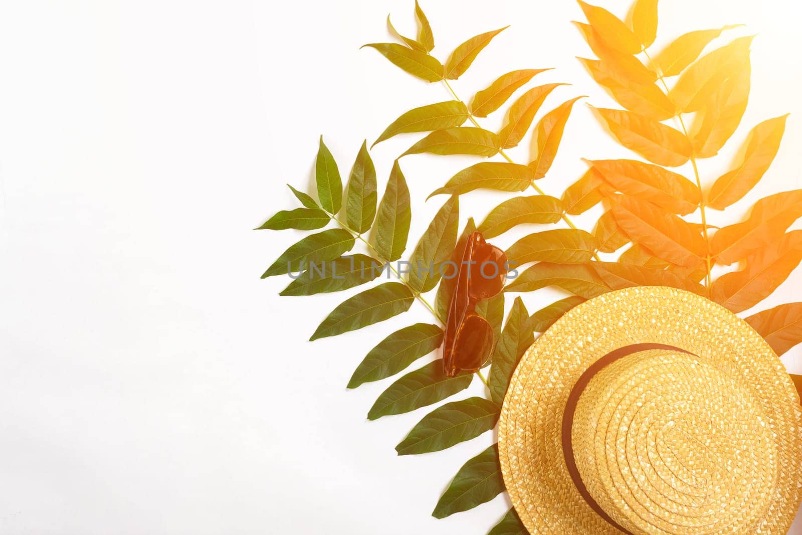 Green leaf branches and straw haton white background. flat lay, top view. Copy space. Still life. Sun Flare