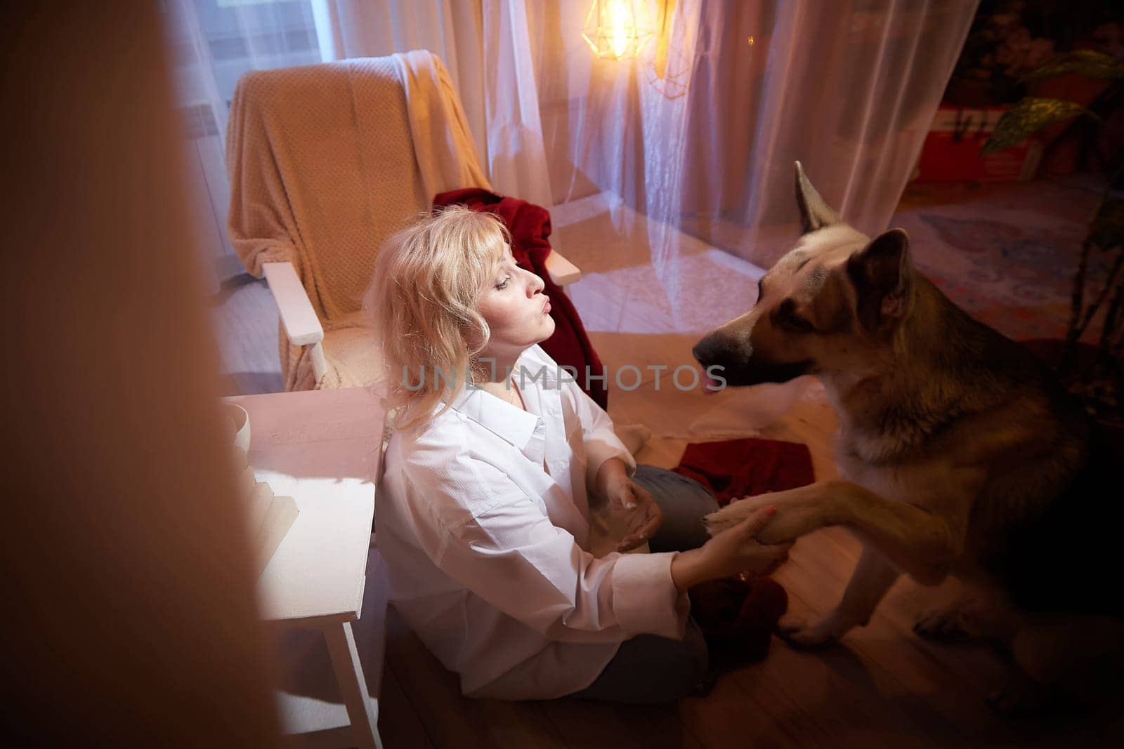 Adult mature woman of 40-60 with big shepherd dog in white shirt. Room with calm cozy evening atmosphere with transparent curtains and soft warm light of lamps. Concept of love for animals and pets by keleny