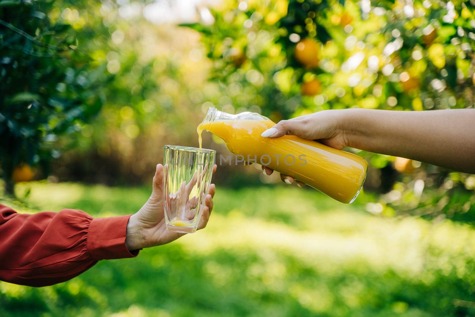 Mother's female hand pours fresh organic orange citrus juice lemonade into glass, that child's hand is holding with the orangery orchard fruit garden trees in the background