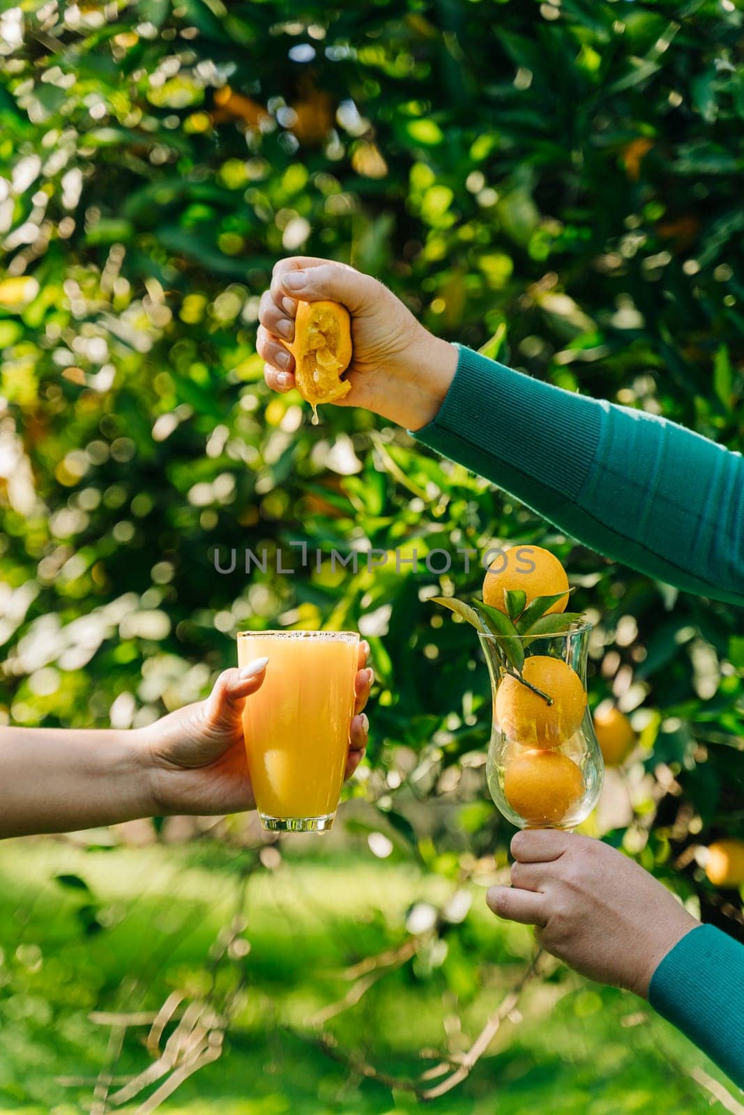Woman's hand squeezes a fresh juicy organic ripe orange citrus juice into glass in the orangery orchard fruit garden farm. by Ostanina