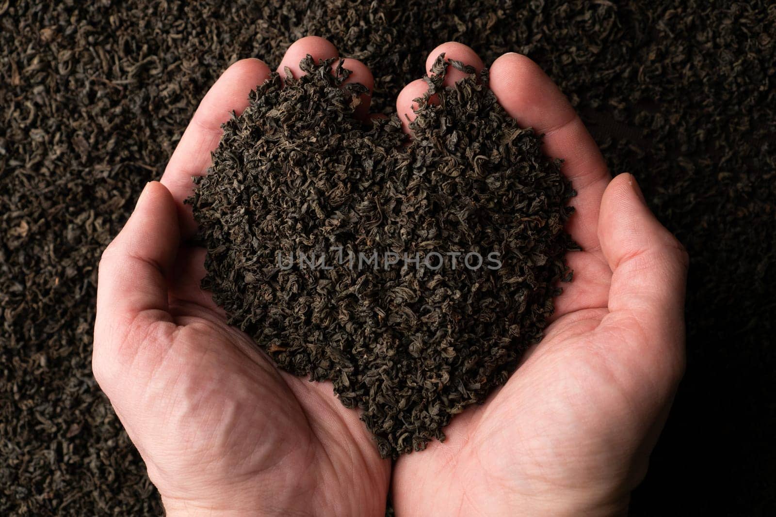 Hands taking a handful of fanning or broken loose leaf black tea and examining it in detail. Close up, top view